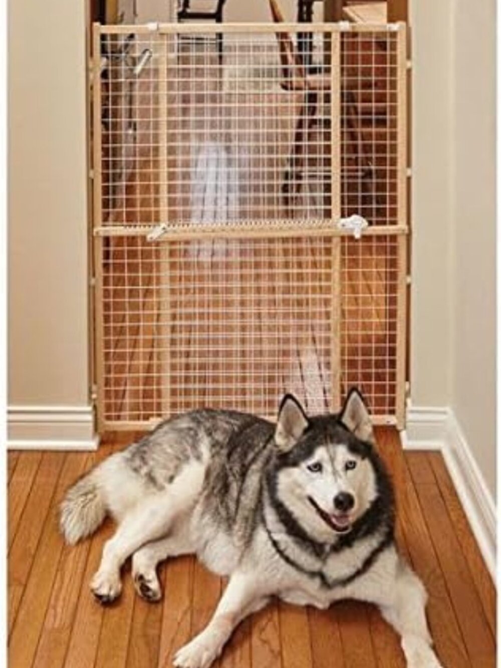 Safety Baby/Pet Gate